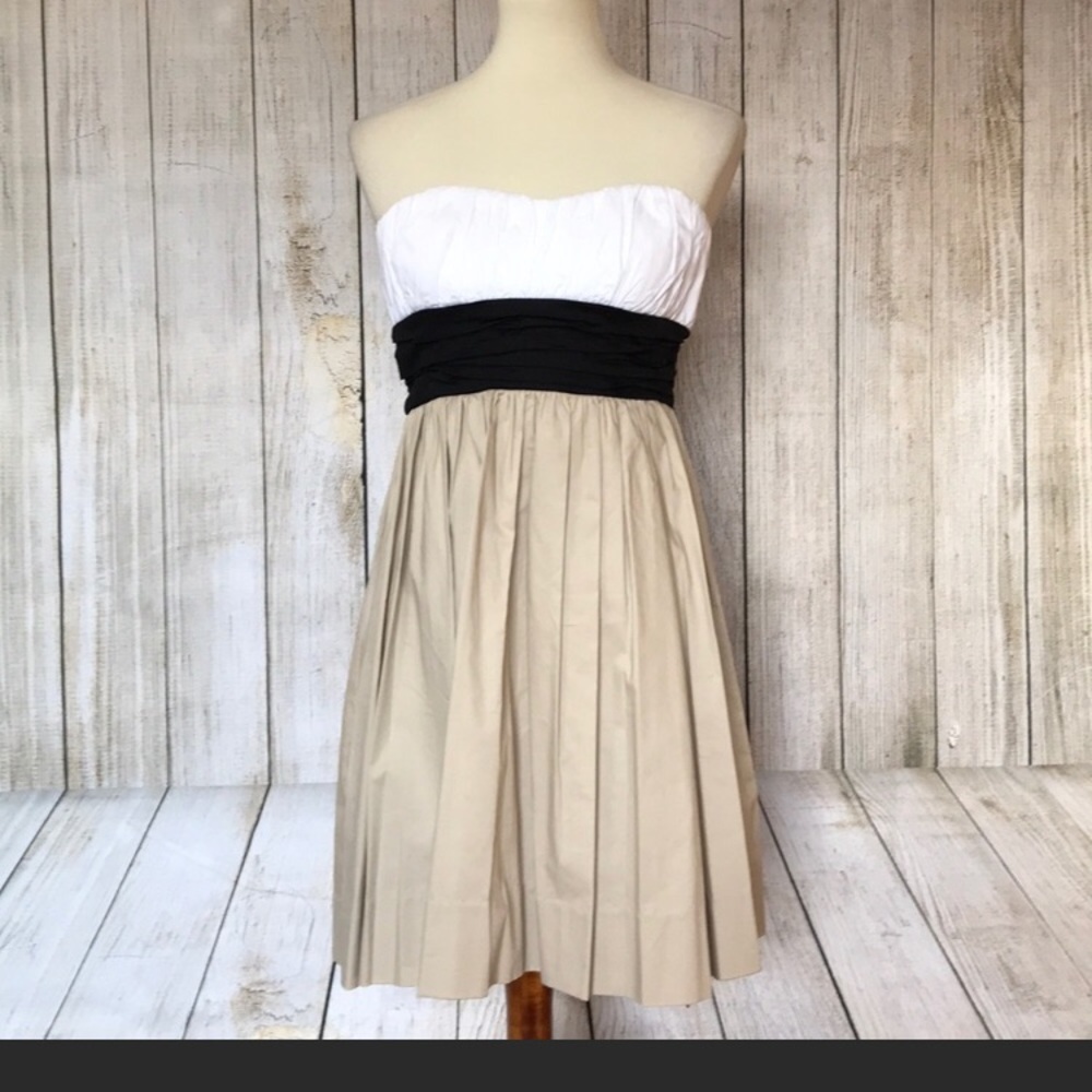 Strapless Color block  Dress
